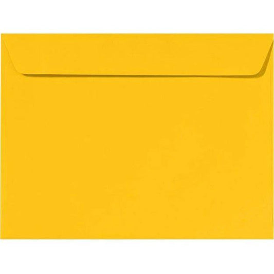 SOBRE MANILA LETTER (PQ. 6)