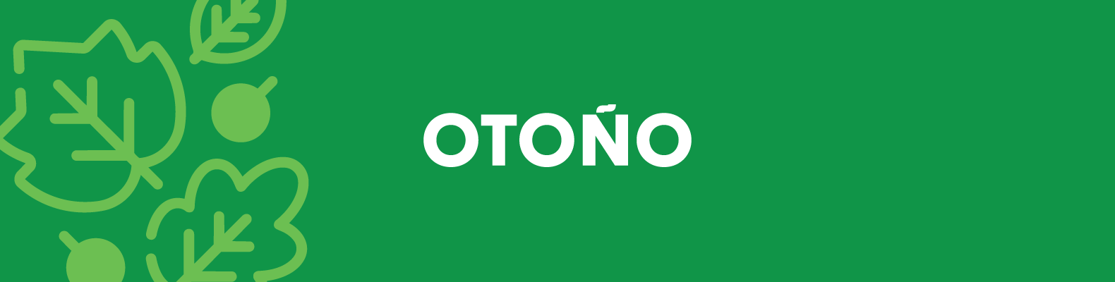 Otoño