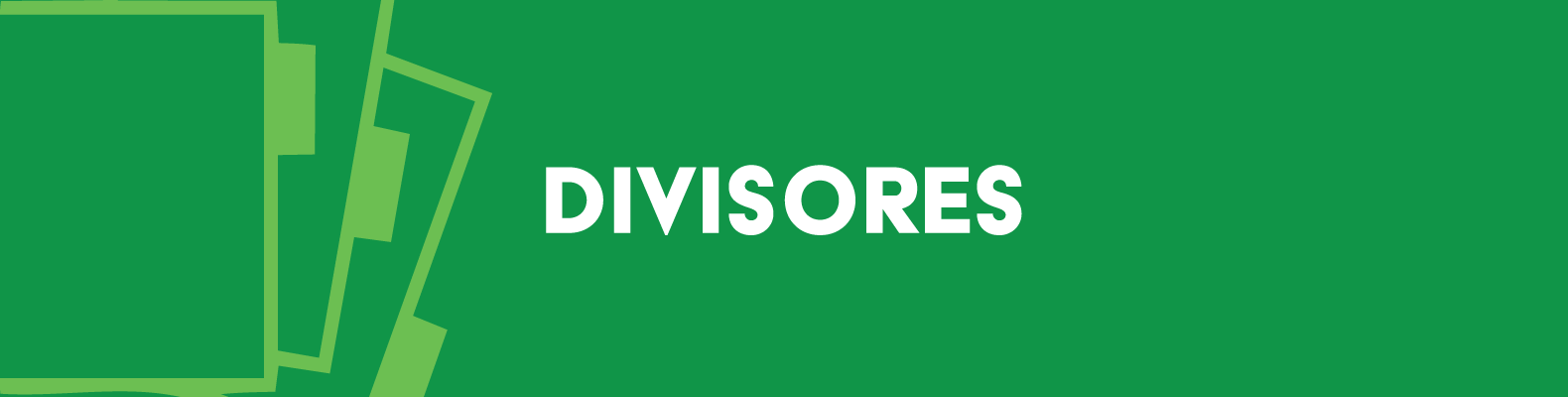 Divisiones