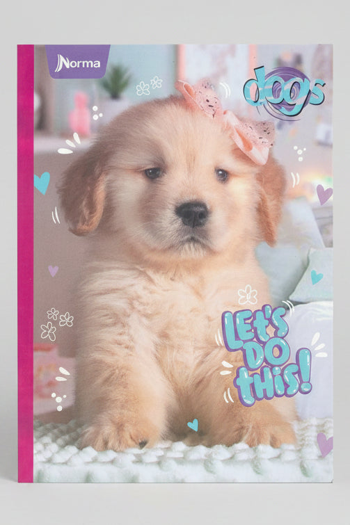 Puppy Golden Retriever