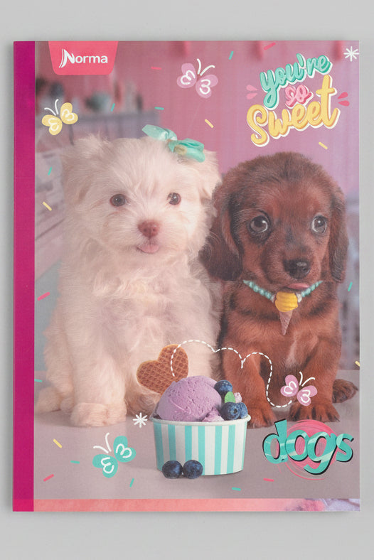 Puppy Maltes and Puppy Dachshund