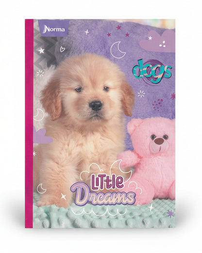 Puppy Golden Retriever and Bear