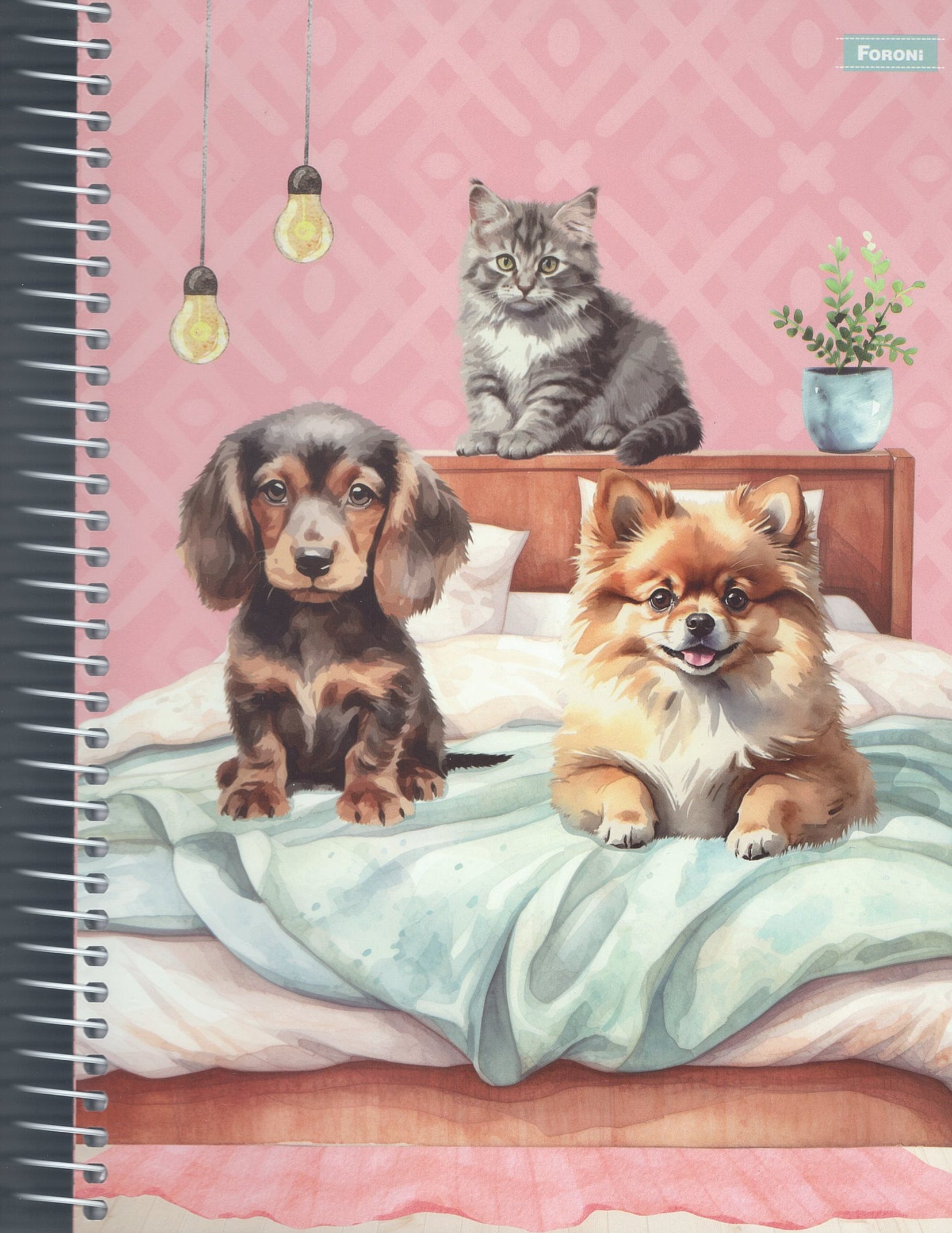 Cozy Companions
