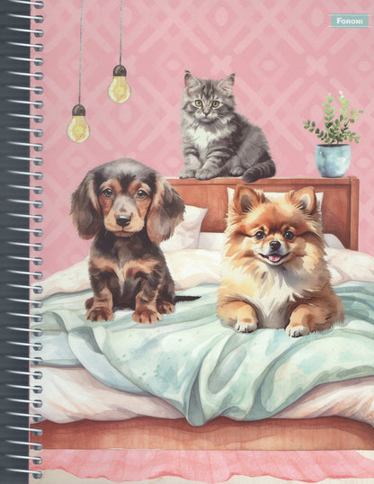 Cozy Companions