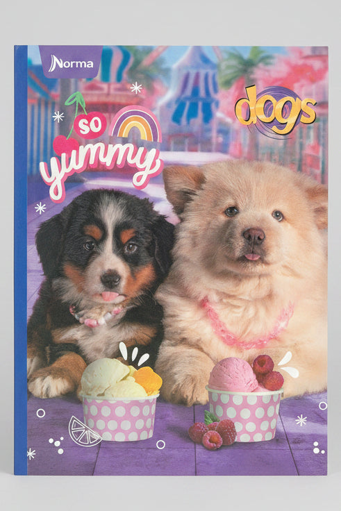 Puppy Bernese and Puppy Chow Chow