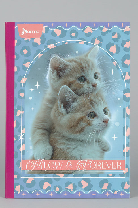 Meow & Forever