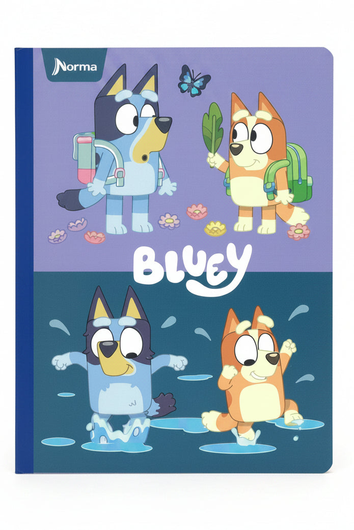 Bluey Adventure