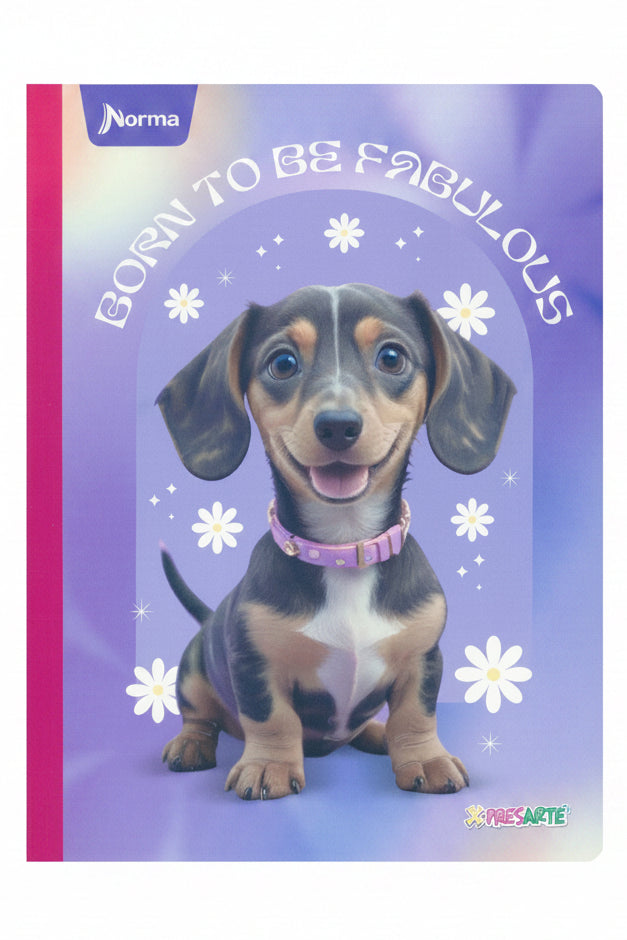 Libreta X-Presarte Girls Gde 200 PG