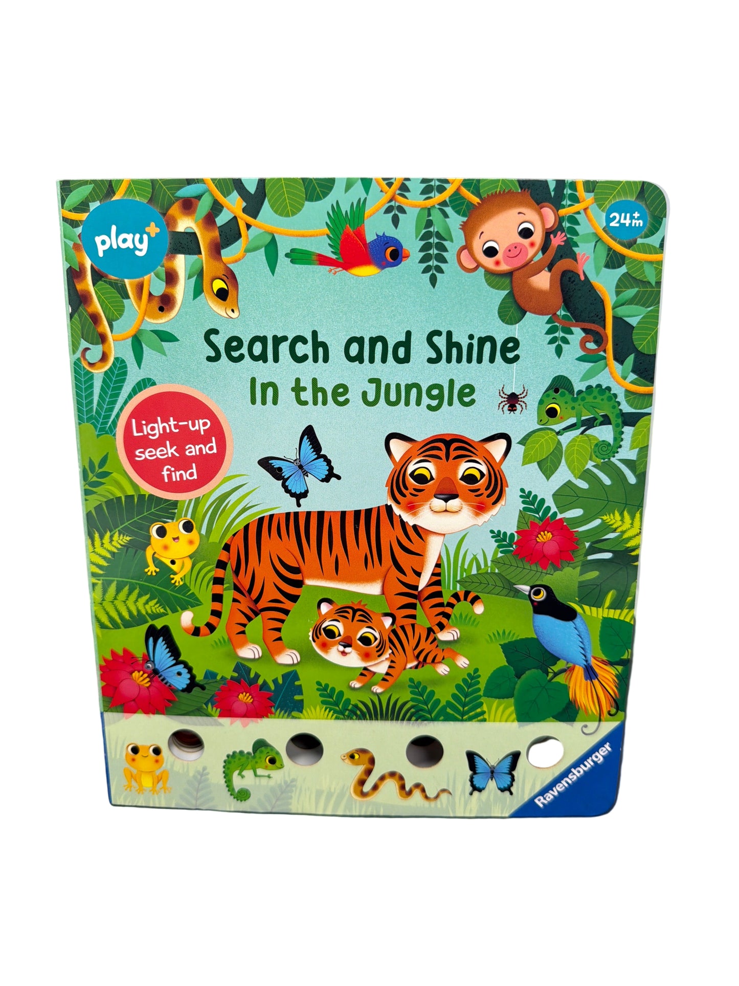 Search & Shine: In the