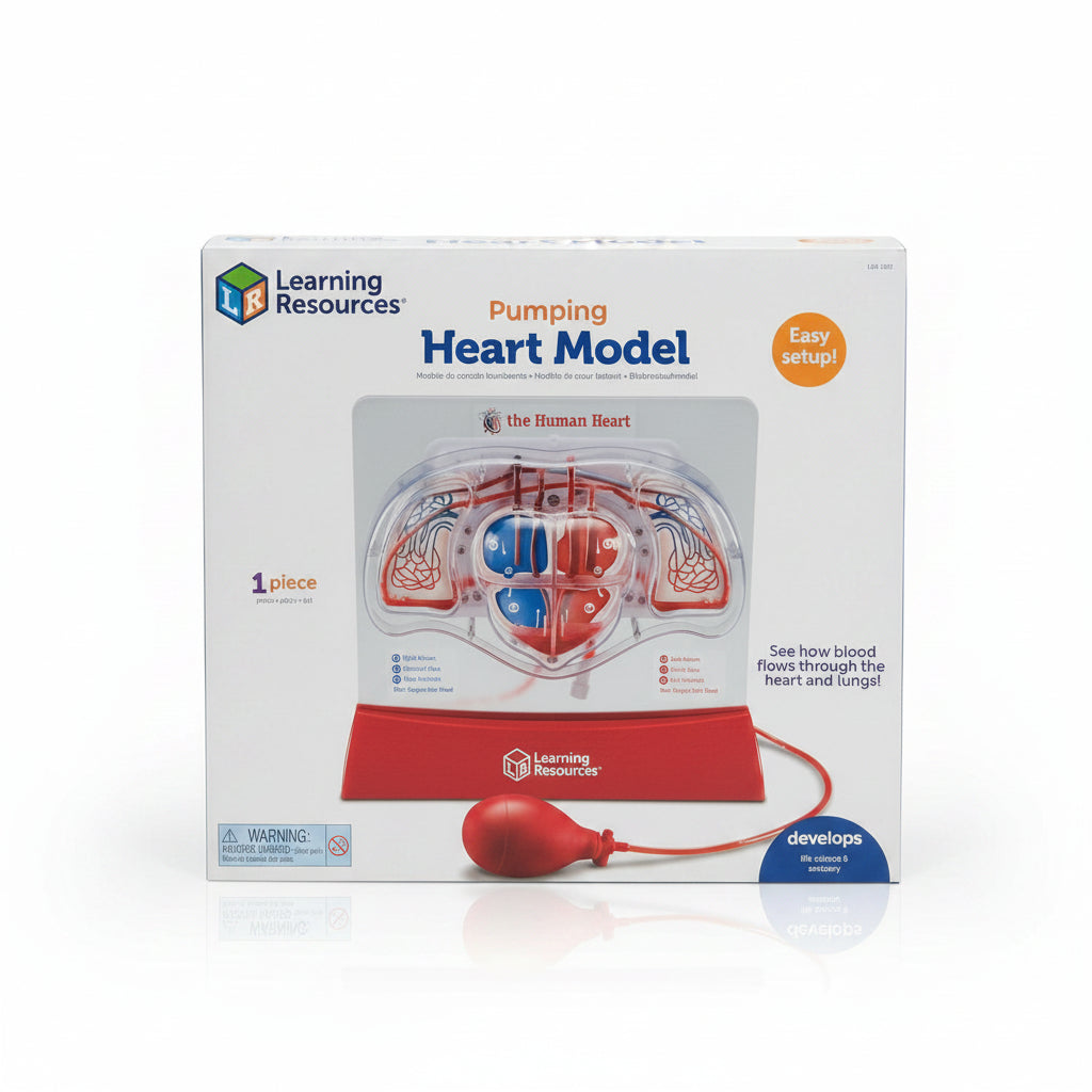 Pumping Heart Model