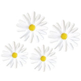 RETRO REMIX DAISIES
