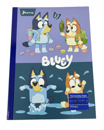 Bluey Adventure