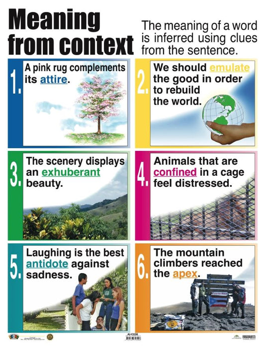 Cartel Meaning From Context