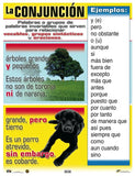 Cartel La Conjunción