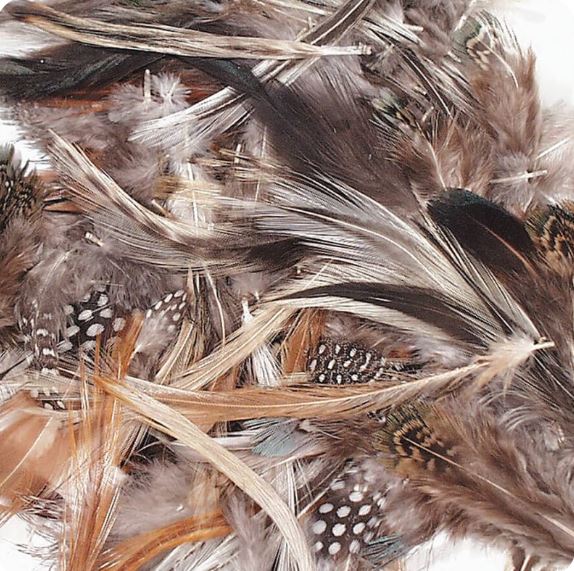 Creativity Street Natural Feathers Natural Assorted Colors Asst. Sizes 1/2 oz.