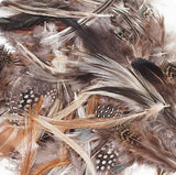 Creativity Street Natural Feathers Natural Assorted Colors Asst. Sizes 1/2 oz.
