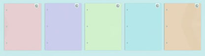 PASTEL PAPER PORTFOLIOS