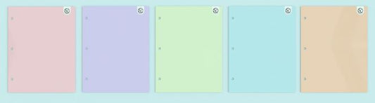 PASTEL PAPER PORTFOLIOS