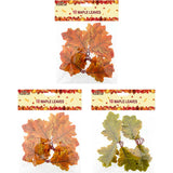FALL OAK LEAF 10PC 3ASTD