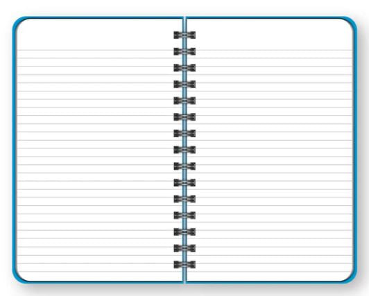 Poly Memo Book College Ruled 8" x 5" 100 Sheets