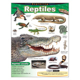 EXPLORING REPTILES LEARNING CHART