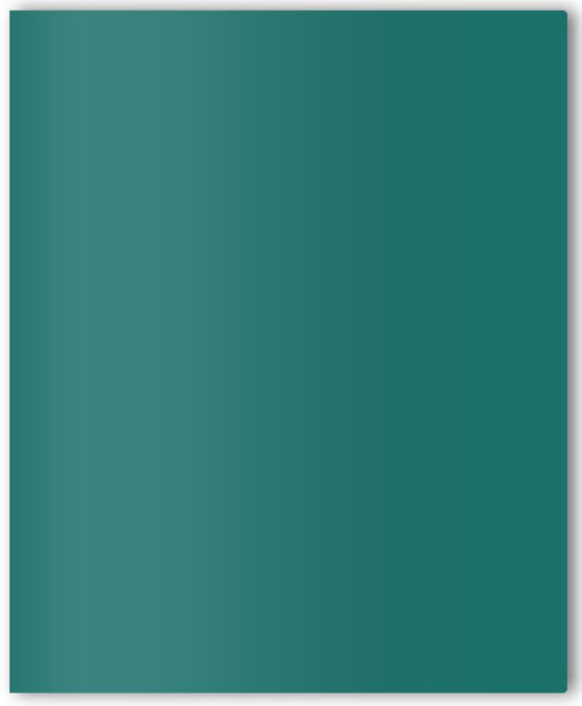 Twin Pocket Paper Portfolio