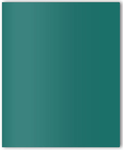 Twin Pocket Paper Portfolio