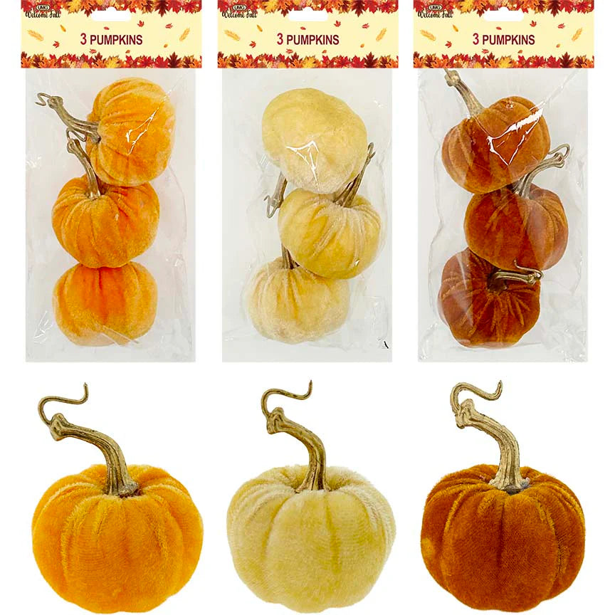 PUMPKIN VELVET 3PC 6.5CM 3ASTD