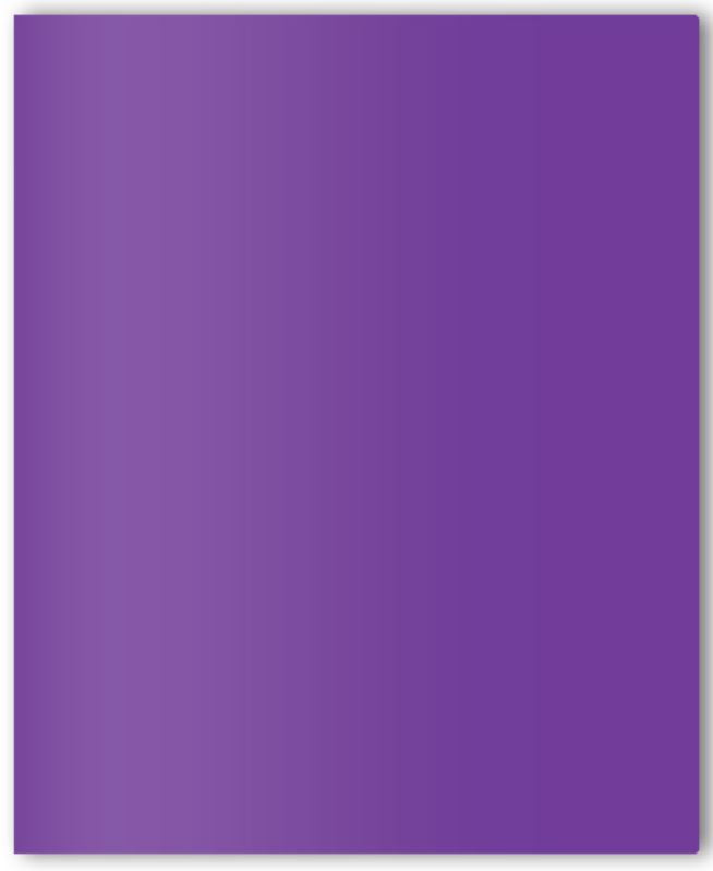 Twin Pocket Paper Portfolio