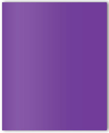 Twin Pocket Paper Portfolio