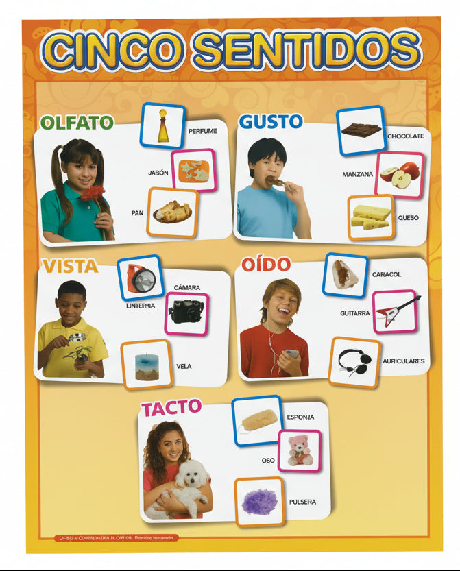 Cartel Cinco Sentidos