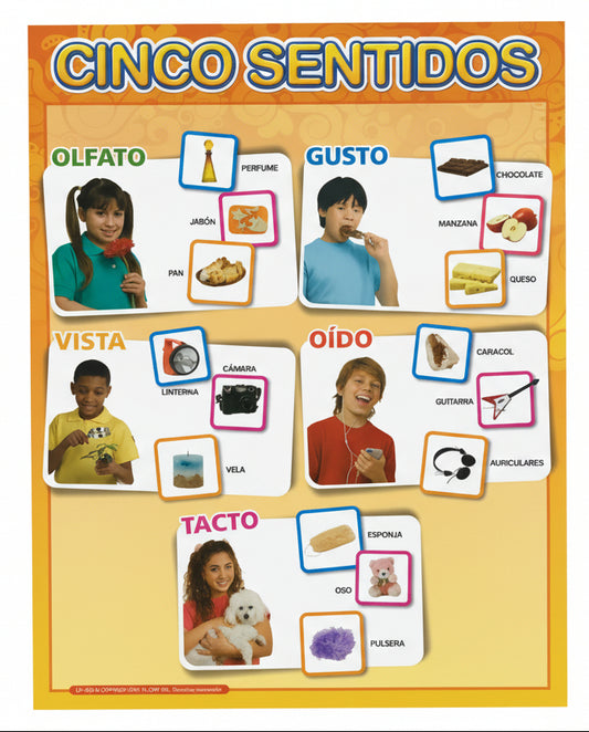 Cartel Cinco Sentidos