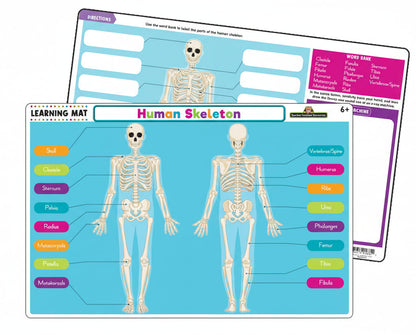 Human Skeleton Learning Mat