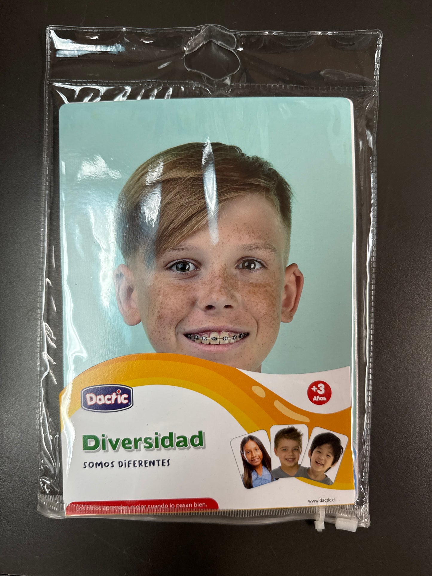 LAMINA DIVERSIDAD