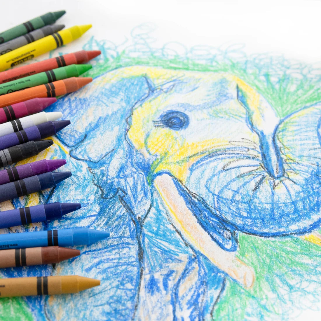 16 Color Premiun Crayon