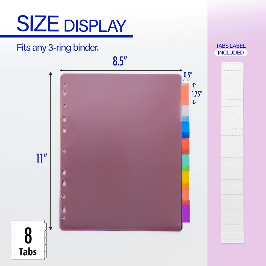 Index Divider 8 Colors Tabs