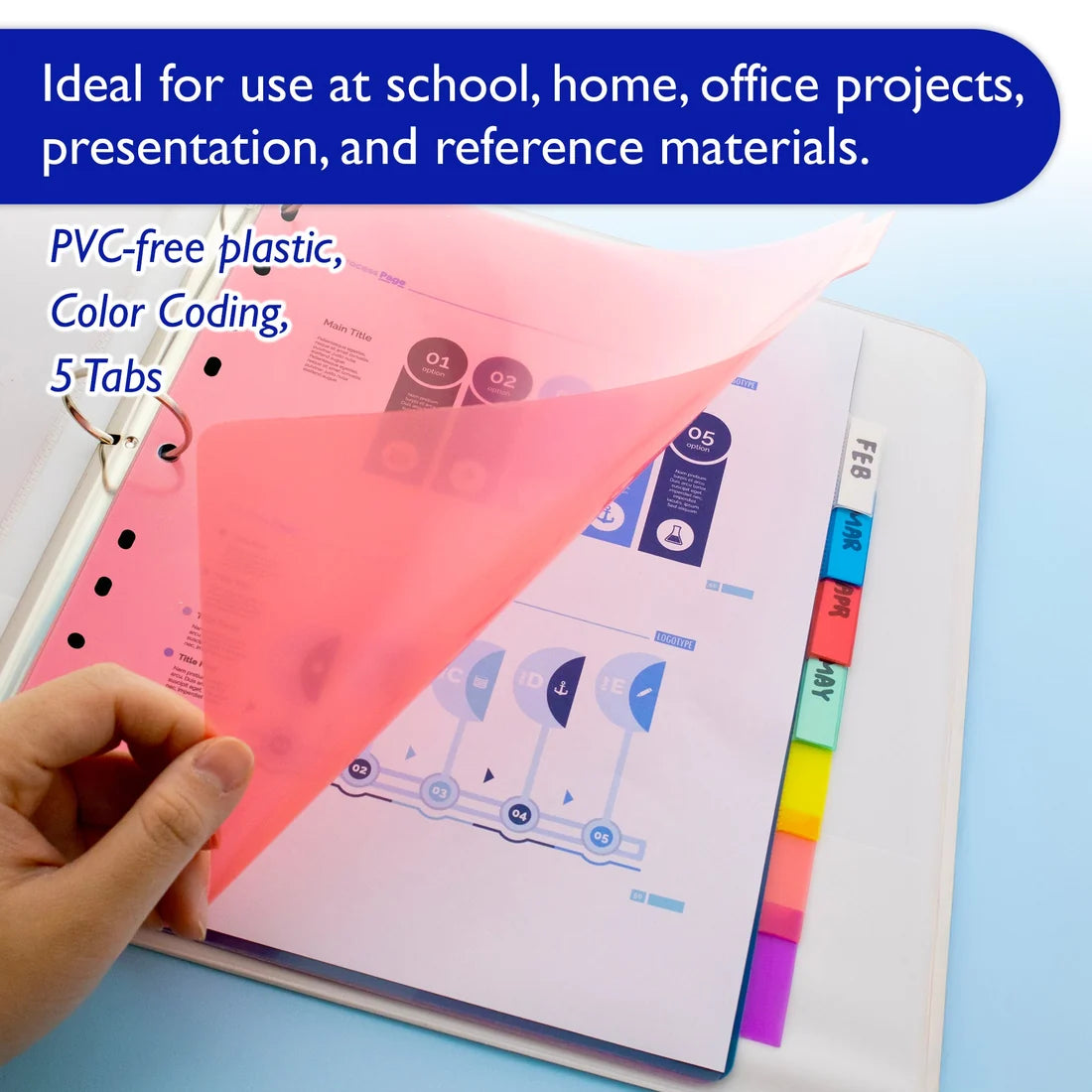 Index Divider 8 Colors Tabs