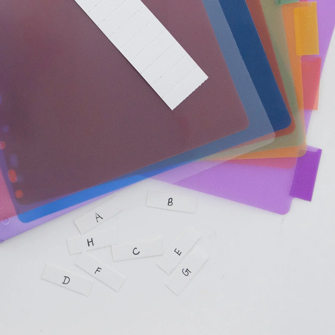 Index Divider 8 Colors Tabs