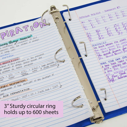 View D-Ring Binder 3" Blue