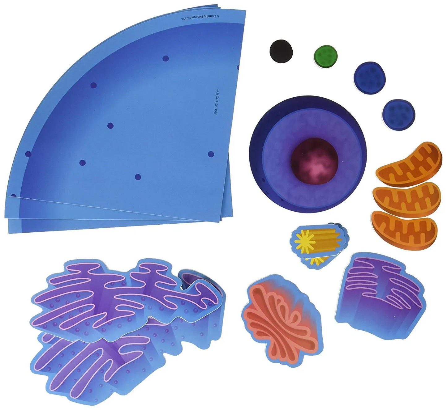 Giant Magnetic Animal Cell