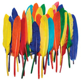 CREATIVITY STREET FEATHERS DUCK QUILLS ASSORTED