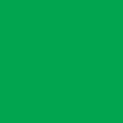 Contact Paper Solid Green 18" X 3 Yards – imagen 2 - JA Riollano
