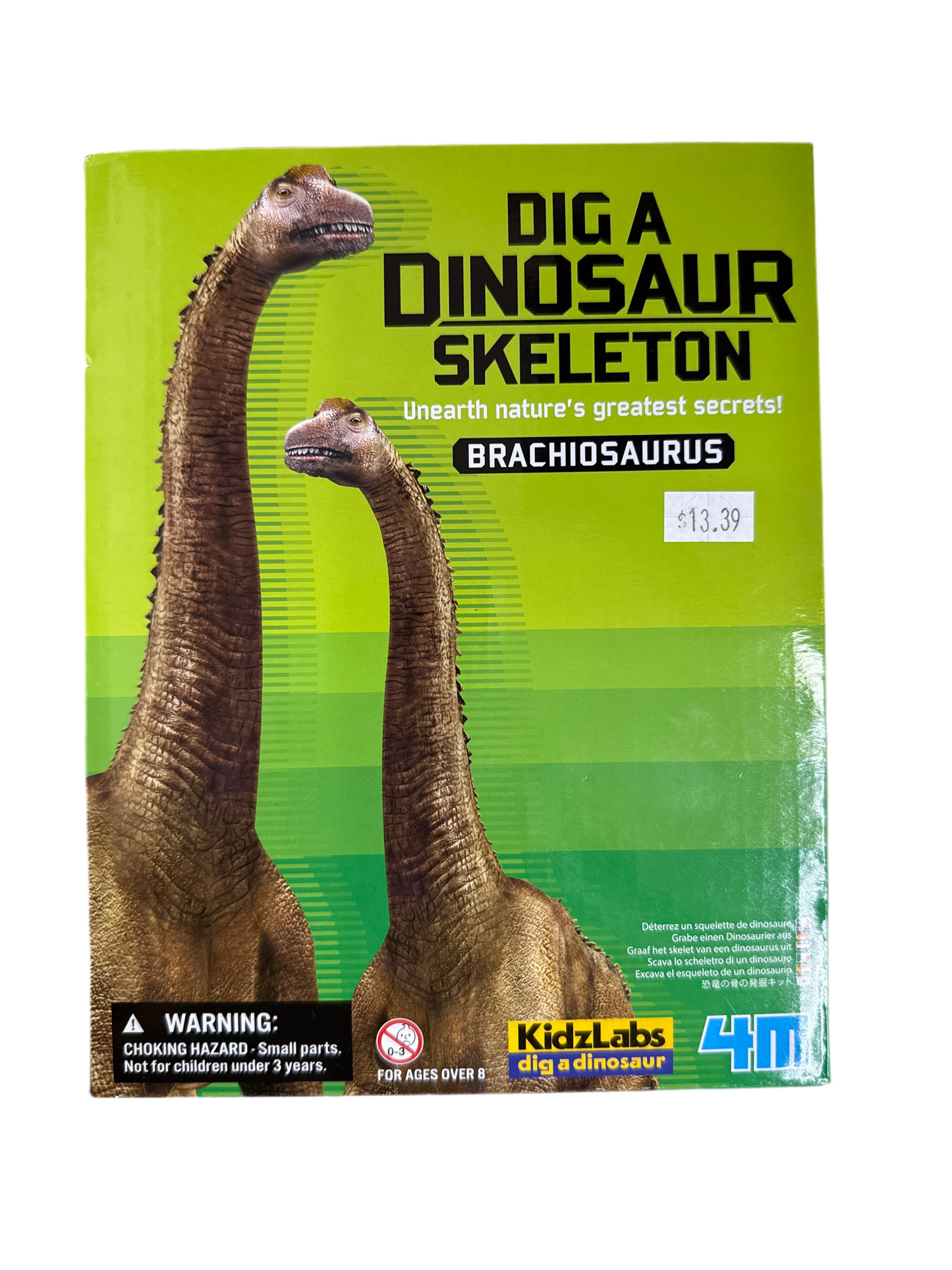 DIG A DINO SERIES