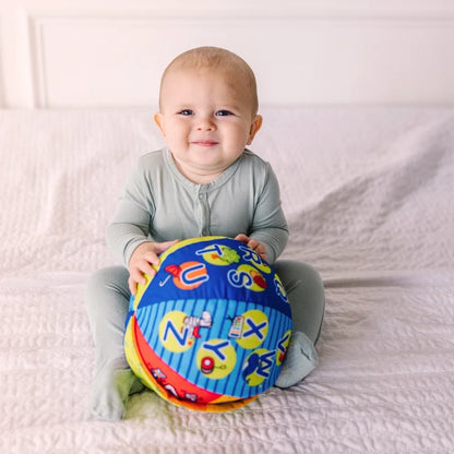 2 in 1 Talking Ball