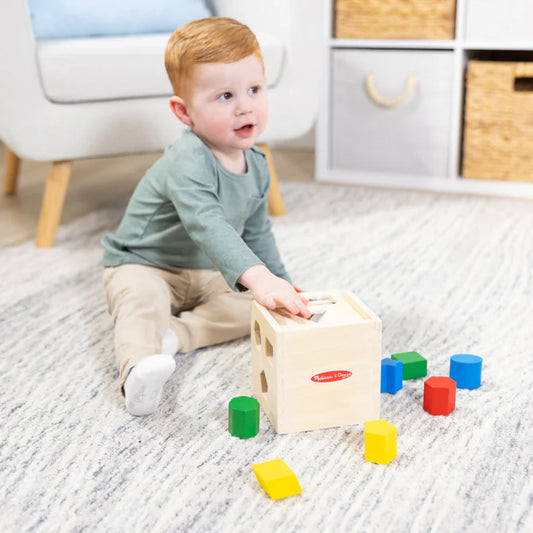 SHAPE SORTING CUBE CLASSIC TOY