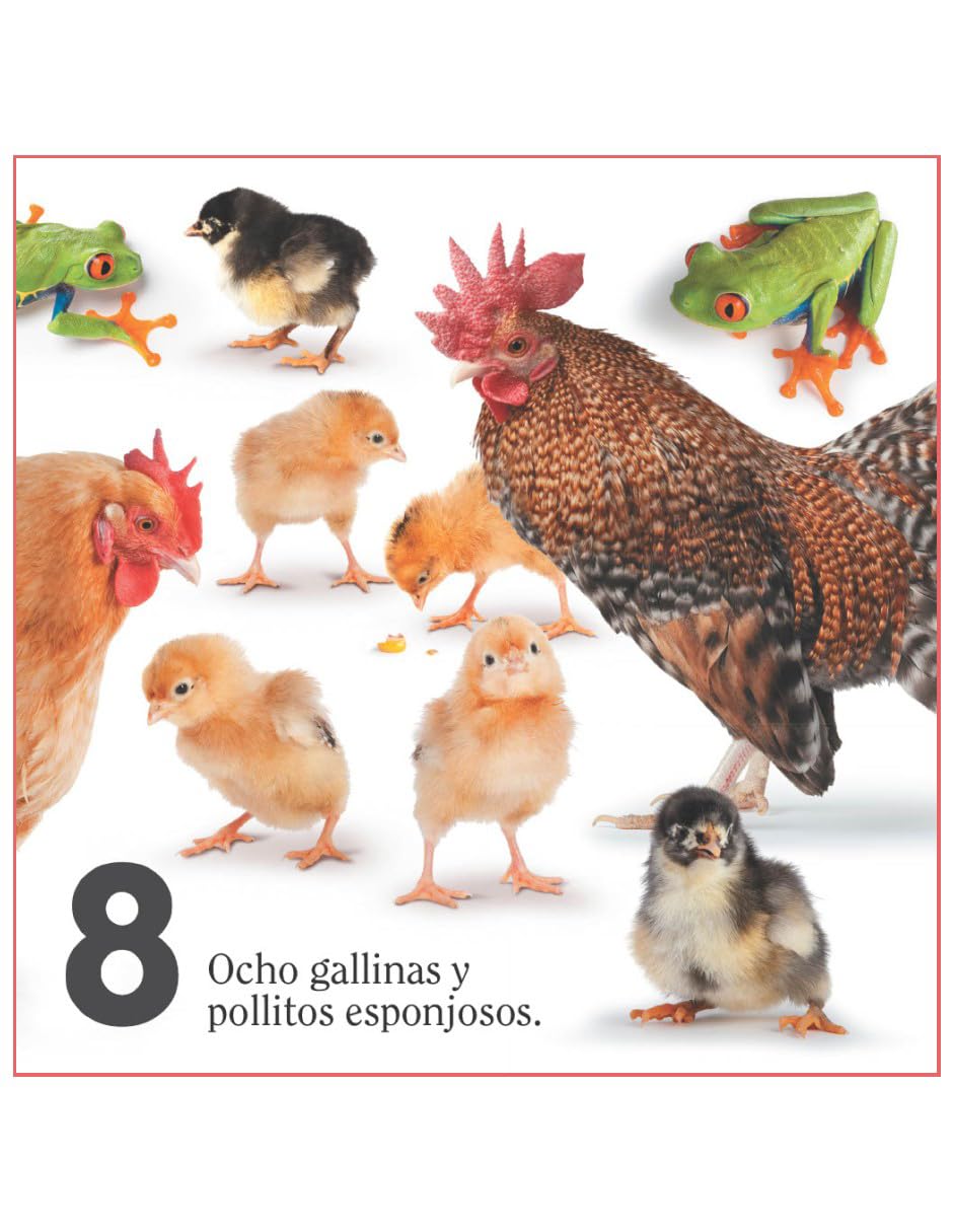 Aprende a contar con los animales - Blume
