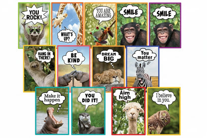 GO WILD ANIMALS SMALL POSTER PACK