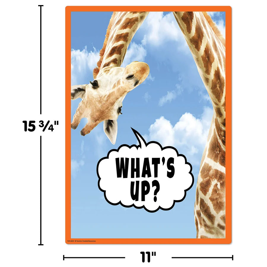 GO WILD ANIMALS SMALL POSTER PACK