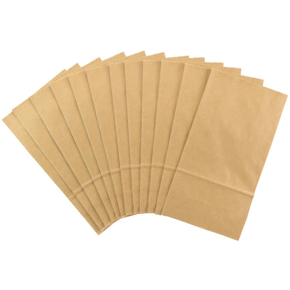 Kraft Paper Gift Bags | Medium  | 4.7"X8.9" | 12Pk
