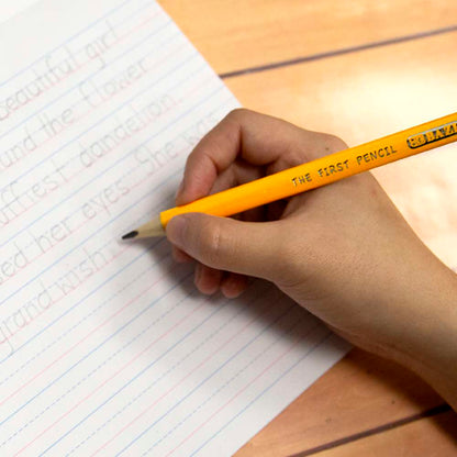 Triangular Jumbo Pencil W/Sharpener